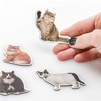 Mosterd Dikke Kat Magneten - 12 stuks - thumbnail