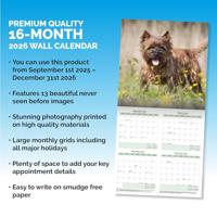 Cairn Terrier Kalender 2026 - thumbnail