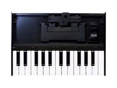 Roland K-25M Roland K-25M