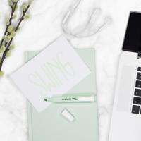 Stabilo swing cool pastel markeerstiften, 4st. - thumbnail