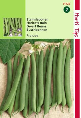 Zaden Stamslabonen Prelude 25g Hortitops - Hortitops