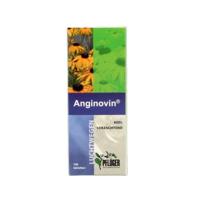 Pfluger Anginovin Tabletten - thumbnail
