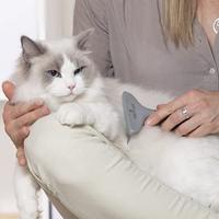Furminator Kam met brede tanden voor dieren met dik haar - thumbnail