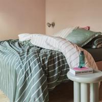 Cinderella dekbedovertrekset katoen 240 x 200/220 cm eenvoud groen - thumbnail