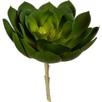 Decoratieve plant Groen Plastic - thumbnail