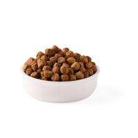 Yarrah Voedzaam biologisch droogvoer voor honden, voor alle volwassen honden, exquise biologische hondenbrokken met kip, 5 kg, 100% biologisch en vrij van kunstmatige toevoegingen - thumbnail