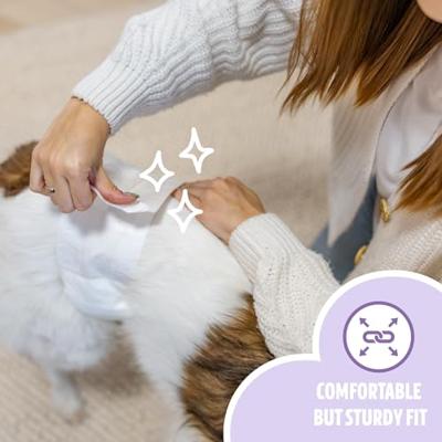 Easypets hondenluiers reu