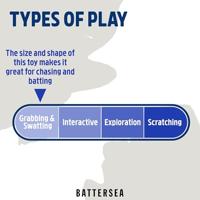 Battersea daily catch visjes - thumbnail