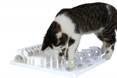 TRIXIE CAT ACTIVITY FUN BORD - thumbnail