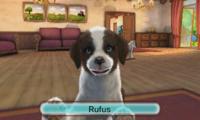 I Love my Pets - thumbnail