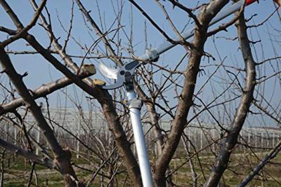 Felco Takkenschaar | lengte 800 mm | snijvermogen 40 mm | gewicht 1335 g | 1 stuk - Felco 220 Felco 220