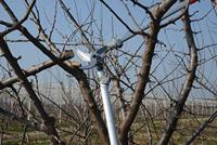 Felco Takkenschaar | lengte 800 mm | snijvermogen 40 mm | gewicht 1335 g | 1 stuk - Felco 220 Felco 220 - thumbnail