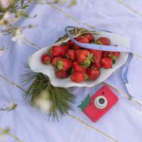 Hoppstar Rookie Digitale Kindercamera, strawbella - thumbnail