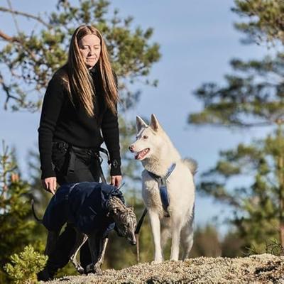 Non-stop dogwear® Hondentuigje Line Harness 5.0, green, Maat: 6