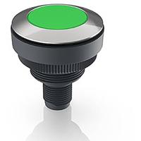 RAFI RAMO 30 Signaallamp RVS, Groen 1 stuk(s) - thumbnail