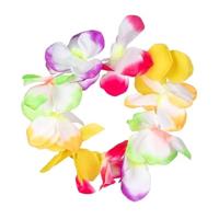 Boland hawaïset - thumbnail