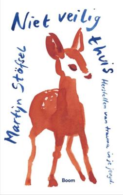 Niet veilig thuis - Martijn Stöfsel - ebook