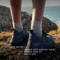 Falke 16461 TK5 WANDER SHORT - alle - thumbnail