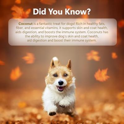 Pawfect functional freeze dried treats skin & coat