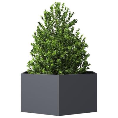 VidaXL Plantenbak zeshoek 104x90x45 cm staal antracietkleurig