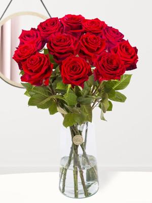 Een dozijn premium rode rozen - Red Naomi