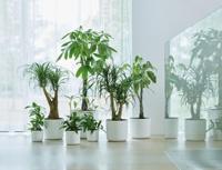 Ronde bloempot B.For - Plastic - Ø30 - bladgroen - thumbnail