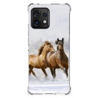 Motorola Edge 40 Pro Case Anti-shock Paarden - thumbnail