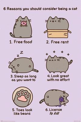 Poster Pusheen Reasons to be a Cat 61x91,5cm
