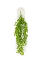 Adelaarsvaren hangend l25cm groen - thumbnail
