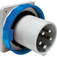 Schneider Electric 81878 81878 CEE-stekker 63 A 250 V 1 stuk(s) - thumbnail