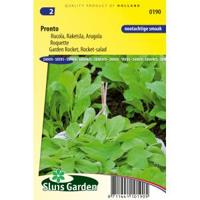 Rucola zaden raketkruid Pronto - thumbnail