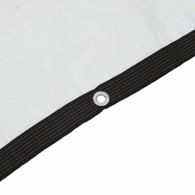 VidaXL Doorzichtig zeildoek met zeilringen 5x8 m polyethyleen