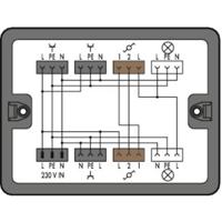 WAGO 899-631/189-000 Verdeeldoos 899 25 A Zwart 1 stuk(s) - thumbnail