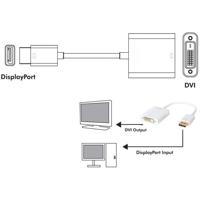 Techly IADAP DP-DVIF2 displayport, wit - thumbnail