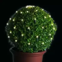 Lumineo Netverlichtingled buxus ø80cm 120led warm wit - thumbnail