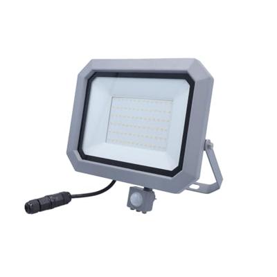 AS Schwabe Slimline Pro 46420 LED-buitenschijnwerper met bewegingsmelder Energielabel: E (A - G) LED 50 W Grijs