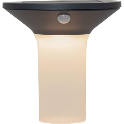 Eglo Solar lampCorbezzola met bewegingssensor - 900243