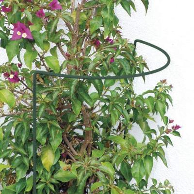 Plantensteun halfrond groen geplastificeerd 100 cm