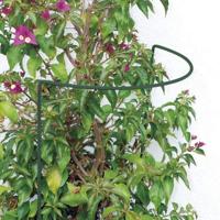 Plantensteun halfrond groen geplastificeerd 100 cm - thumbnail