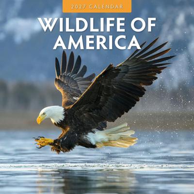 Wildlife of America Kalender 2027