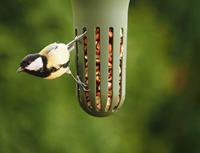 SingingFriend Max Vogelvoeder - thumbnail