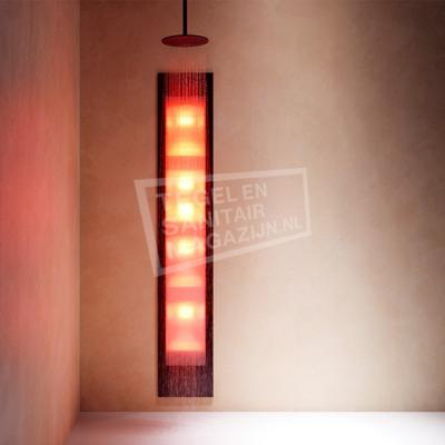 Sunshower Deluxe Black UV en Infrarood Inbouwapparaat 32x187x16 cm Aluminium Zwart