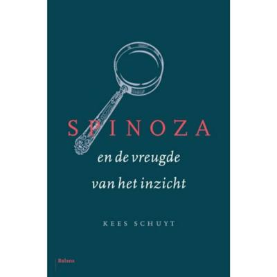 Spinoza en de vreugde van het inzicht (Hardback)