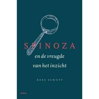 Spinoza en de vreugde van het inzicht (Hardback) - thumbnail