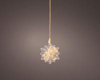 Micro Led Ster met droogbloemen Ø 19cm - thumbnail