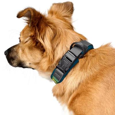 HUNTER Hondenhalsband Maldon, petrol/grijs, Maat: L