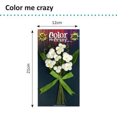 Petaloo • color me crazy bouquets pansies x8