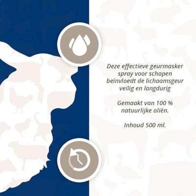 MR Spray Schaap MR Spray Schaap
