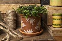 Sizzix • tim holtz thinlits die set modern floristry 11pcs - thumbnail