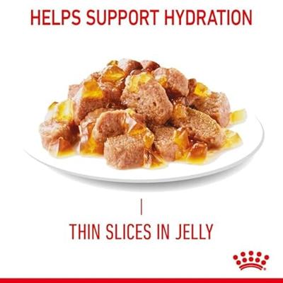 Royal Canin Light Weight Care natvoer kat (in gelei) 4 dozen (48 x 85 g) - thumbnail